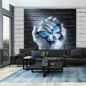 Fototapeta - Motýľ na stene (296x200 cm)