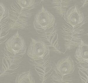 Sivá vliesová tapeta s pávími perami, EV3941, Candice Olson Casual Elegance, York