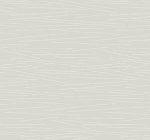 Sivá vliesová tapeta, biele línie, EV3931, Candice Olson Casual Elegance, York