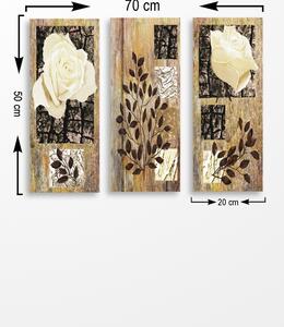 Wallity Súprava obrazov PLANT AND FLOWER 70 x 50 cm 3 kusy
