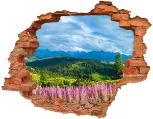 Fotoobraz diera na stenu Lavender v horách nd-c-71828150