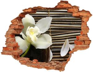 Diera 3D fototapeta na stenu Nástenné maľby orchidea