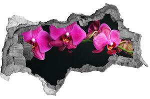 Samolepiaca diera nálepka Orchidea nd-b-64284743