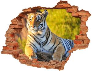 Diera 3D v stene nálepka Portrét tigra nd-c-65114965