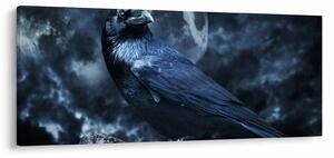 Obraz - Havran (120x50 cm)