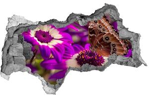 Samolepiaca diera na stenu Motýľ na kvetine nd-b-84885251