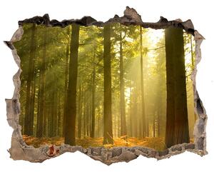 Díra 3D ve zdi nálepka Forest na slnku nd-k-27621934