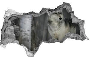 Diera 3D fototapeta na stenu Šedý vlk nd-b-57875164