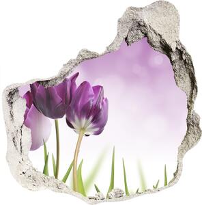 Fototapeta diera na stenu 3D Filé tulipány nd-p-52340543