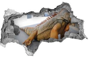 Fototapeta diera na stenu Iguana nd-b-97700993