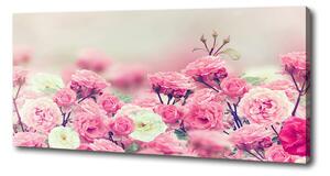 Moderný fotoobraz canvas na ráme Kvety divokej ruže