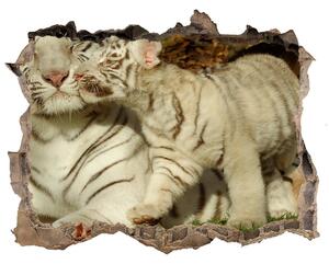 Díra 3D fototapeta nálepka Tigers nd-k-73601237