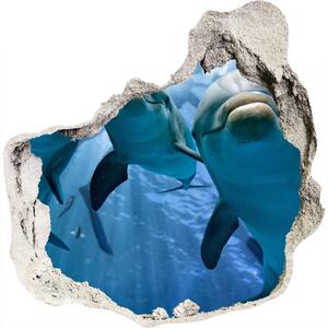 Fototapeta diera na stenu 3D Tri delfíny nd-p-119968160