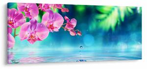 Obraz - Orchidea (120x50 cm)