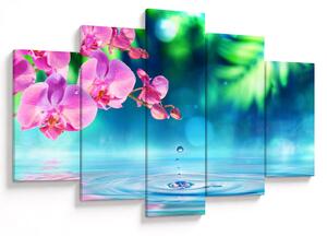 Obraz - Orchidea (150x105 cm)