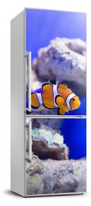Nálepka fototapeta chladnička Ryba Nemo