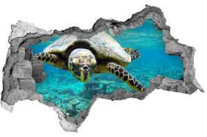 Diera 3D fototapeta nálepka Morská korytnačka