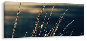 Obraz tráv (120x50 cm)