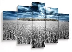 Obraz pole (150x105 cm)