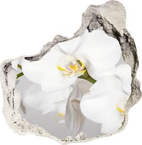 Diera 3D fototapety nálepka Orchidea nd-p-133396361
