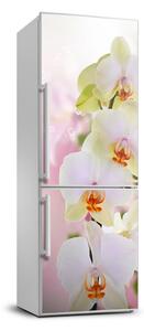 Nálepka fototapeta chladnička Biela orchidea