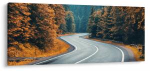 Obraz - Kľukatá cesta (120x50 cm)