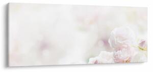 Obraz nežných kvetov (120x50 cm)
