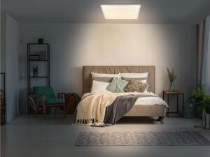 Livarno home Nástenný a stropný LED panel (panel 62 x 62 cm) (100359093)