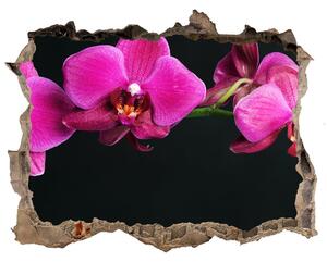 Samolepící díra nálepka Orchidea nd-k-64284743