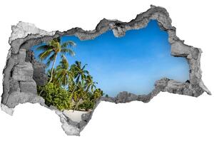 Diera 3D v stene nálepka Beach v karibiku nd-b-112295720