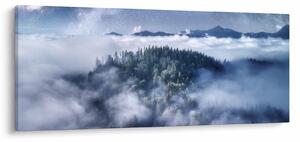 Obraz lesa v hmle (120x50 cm)