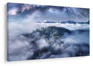 Obraz lesa v hmle (90x60 cm)