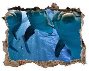 Díra 3D fototapeta na stěnu Tri delfíny nd-k-119968160