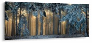 Obraz zasneženého lesa (120x50 cm)