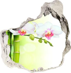 Fototapeta diera na stenu 3D Orchidea a bambus nd-p-82165838