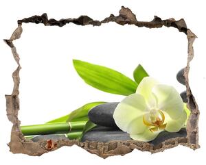 Samolepící díra nálepka Orchidea nd-k-68592259