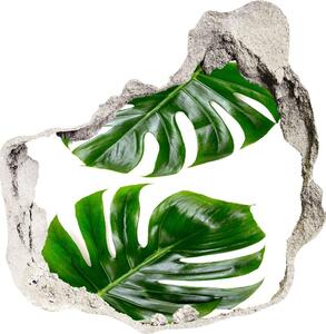 Foto fotografie diera na stenu Tropické listy