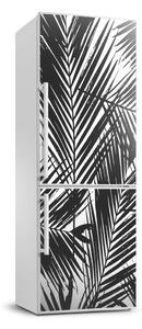Fototapeta samolepiace na chladničku Listy palmy