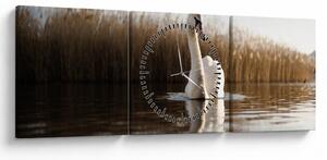 Obraz labute (s hodinami) (90x30 cm)