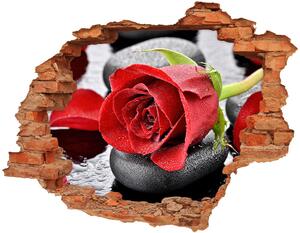 Samolepiaca diera na stenu Červená ruža nd-c-69893127