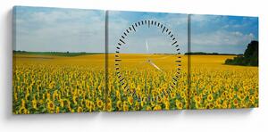 Obraz - pás slnečníc (s hodinami) (90x30 cm)