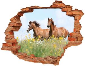 Fototapeta diera na stenu Dva kone v kluse nd-c-71484450