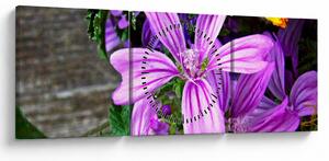 Obraz - lúčne kvety (s hodinami) (90x30 cm)