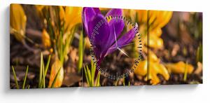 Obraz fialovej kvetiny (s hodinami) (90x30 cm)