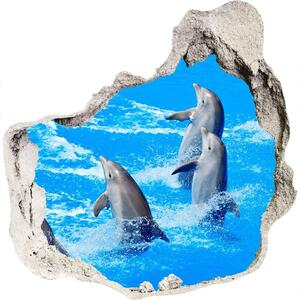 Nálepka 3D diera na stenu Delfíny nd-p-39687572