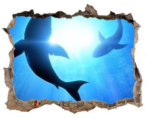 Díra 3D fototapeta nálepka Dva žraloky nd-k-69178156