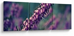 Obraz fialovej kvetiny (s hodinami) (90x30 cm)