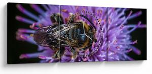 Obraz včely na kvetine (s hodinami) (90x30 cm)
