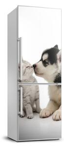 Foto nálepka na chladničku stenu Pes a mačka
