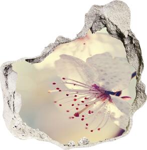 Nálepka 3D diera na stenu Čerešňový kvet nd-p-102906126
